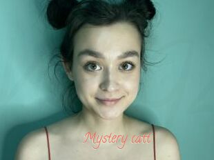 Mystery_catt
