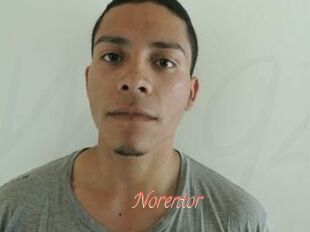 Noren_tor