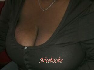 Niceboobs