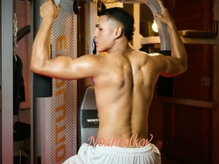 Noahvolkov