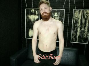 OdinBurn
