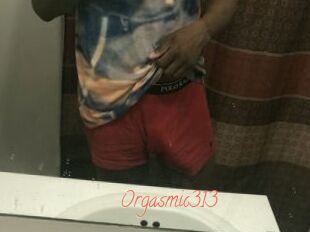 Orgasmic313