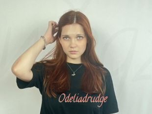 Odeliadrudge
