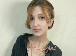 Odelinagarfield