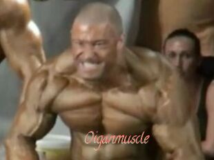Oigan_muscle