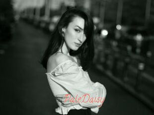 PaleDaisy