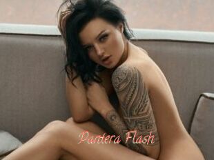 Pantera_Flash