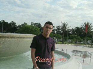 PeaceofLoves