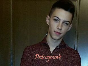Pedrogenove