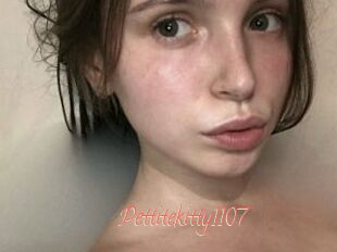 Pettitekitty1107