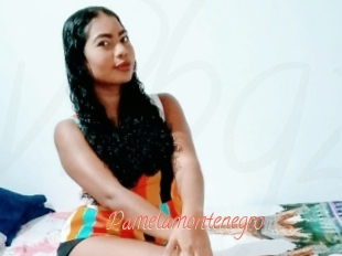 Pamelamontenegro