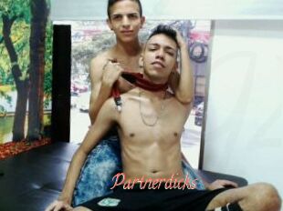 Partnerdicks