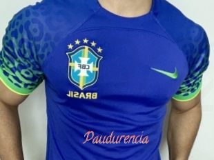 Paudurencia