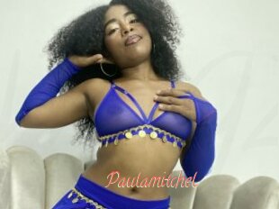 Paulamitchel