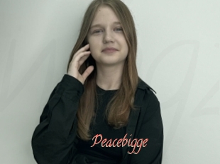 Peacebigge