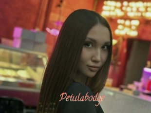 Petulabodge
