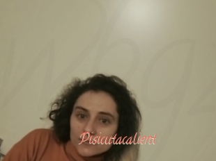 Pisicutacalient