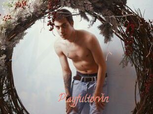Playfultorvin