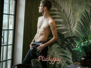 Pluckygay