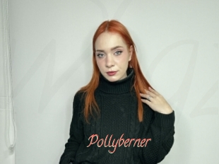 Pollyberner