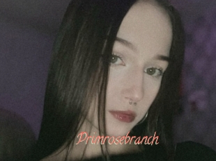 Primrosebranch