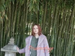 Prudencefigge