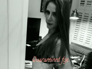 Quarantined_fox