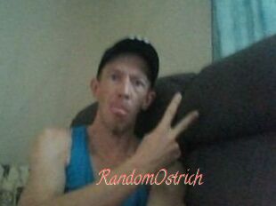 RandomOstrich