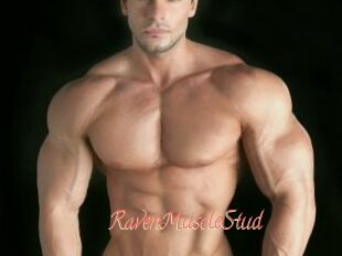 RavenMuscleStud