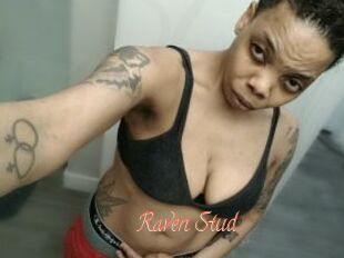Raven_Stud