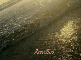 ReeseBoo