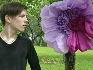 Rodrigie