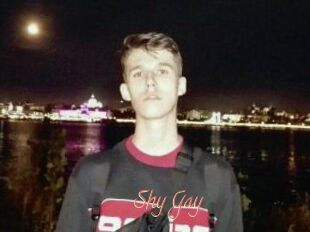 Shy_Gay