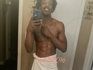 SlimBBC96