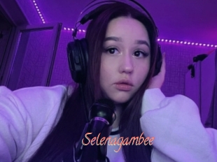 Selenagambee