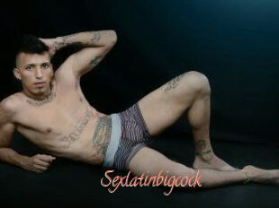 Sexlatinbigcock