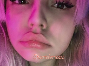 Shanteberteau