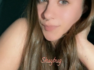 Shaybug