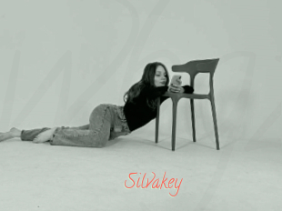 Silvakey