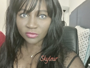 Skyleur