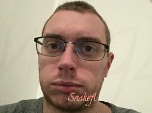 Snakefl