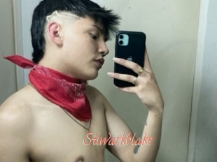 Stiwarkblake
