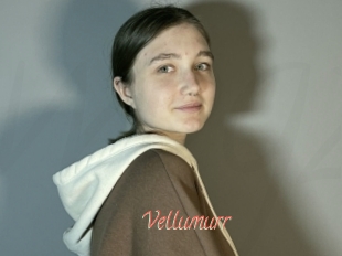 Vellumurr