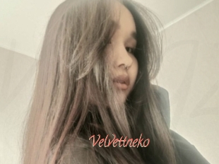 Velvettneko