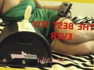 WildOrchid_