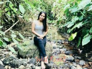 Wild_Rose18