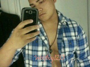 Wolfboy1213