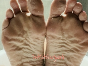 Welshbustyava