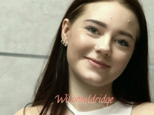 Wilonealdridge