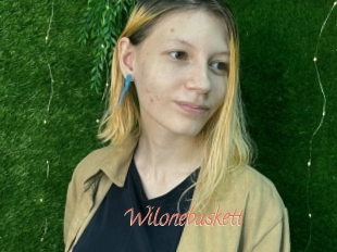 Wilonebaskett